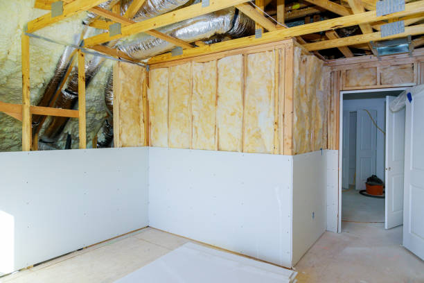 Best Spray Foam Insulation  in Goose Creek Village, VA