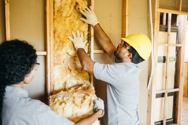 Best Insulation Replacement Services  in Goose Creek Village, VA