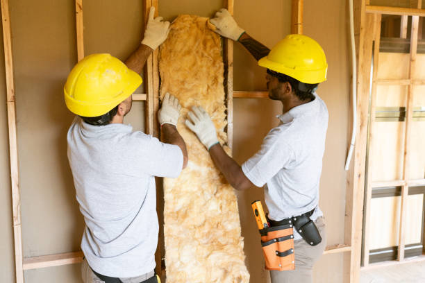 Best Attic Insulation Installation  in Goose Creek Village, VA