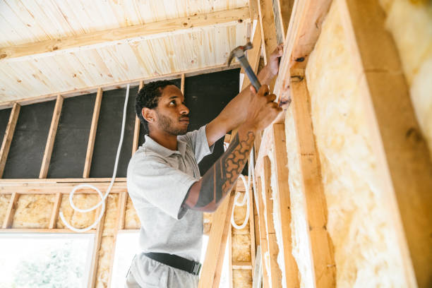 Best Cellulose Insulation  in Goose Creek Village, VA