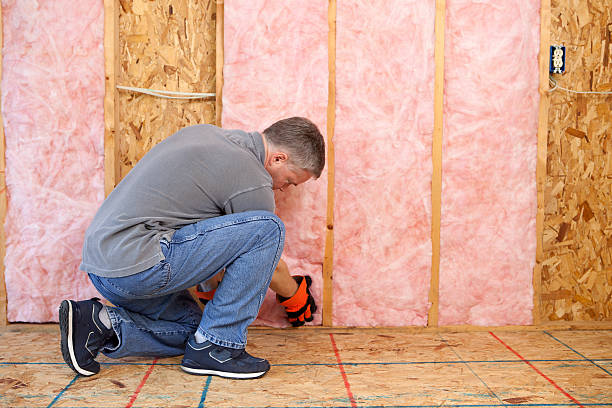 Best Best Insulation Companies  in Goose Creek Village, VA